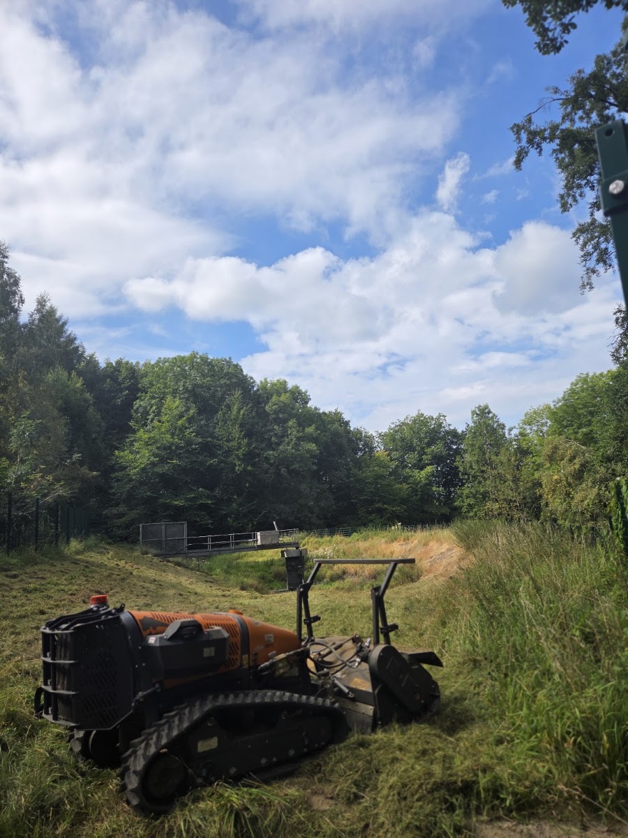 Ferngesteuerter Forstmulcher von Landschaftspflege Liberato im Einsatz auf einer Hangfläche